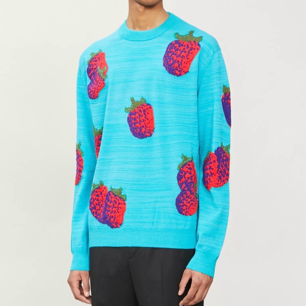 ACNE Studios Strawberry Print Stretch-Woven Jumper Sweater in Multi Turquoise
